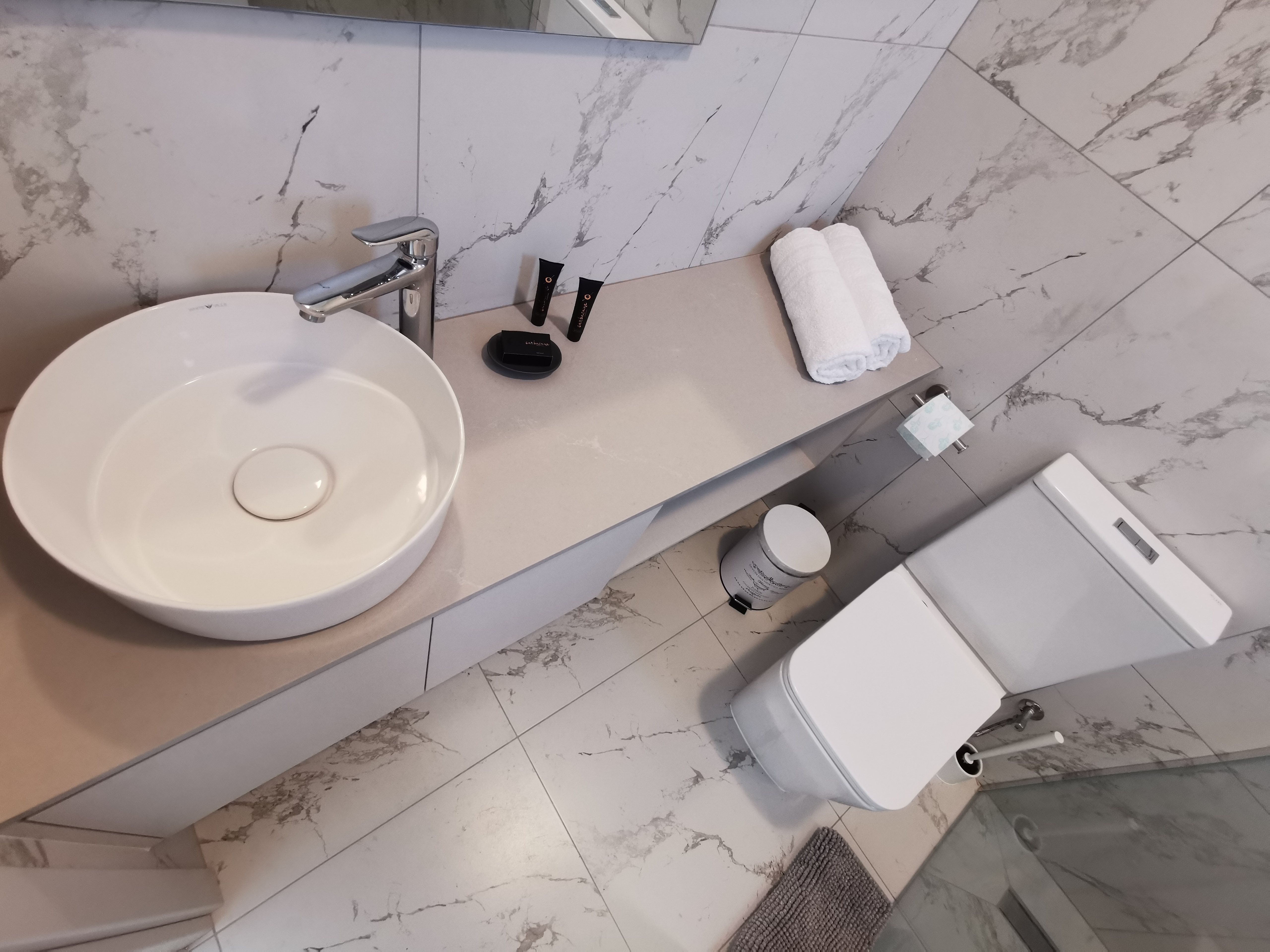 The Prince's sink and toilet